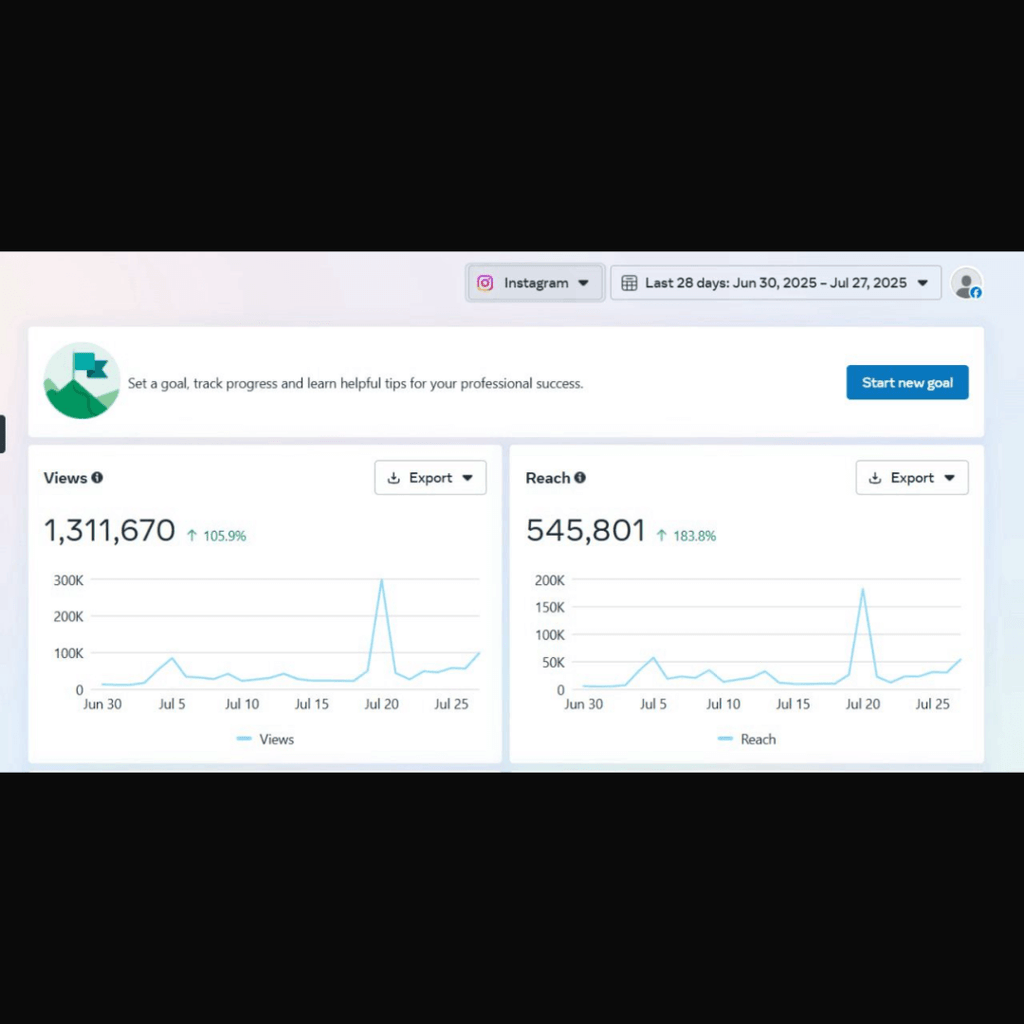 Meta Ads Management - The Starter