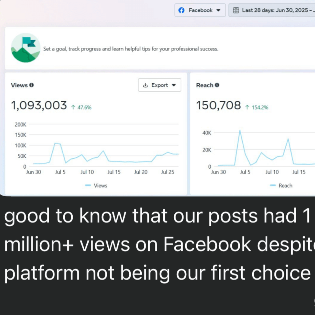 Meta Ads Management - The Elite