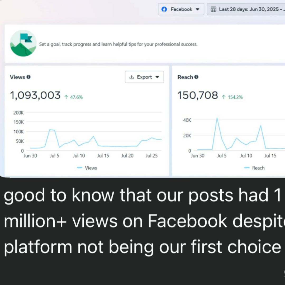 Meta Ads Management - The Growth