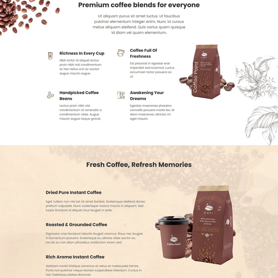 Shopify Web Development - The Starter