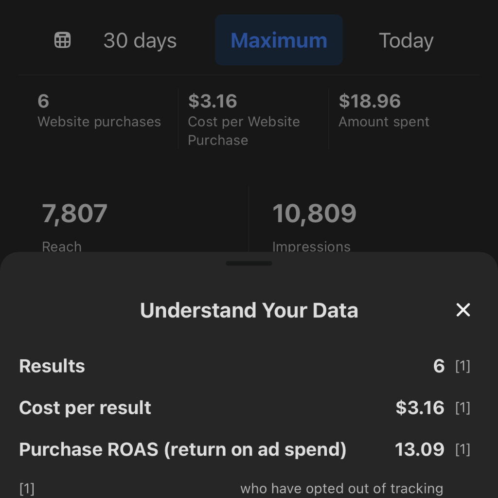 Meta Ads Management - The Starter