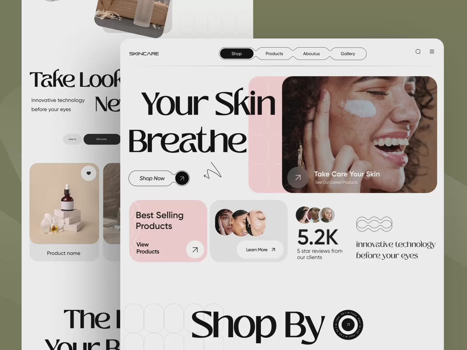 Shopify Web Development - The Elite